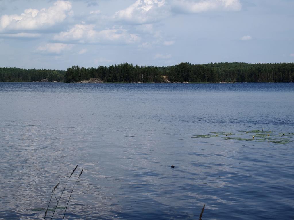 Kuoreksenniemi Villas & Lakehouse Puumala Dış mekan fotoğraf